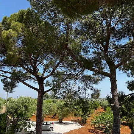 Masseria Concorrano Apartment *