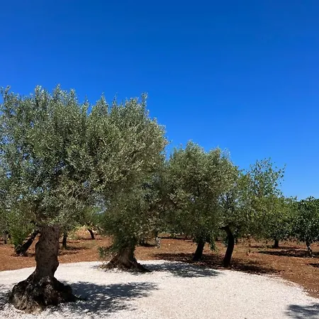 Masseria Concorrano Apartmán Castellana Grotte