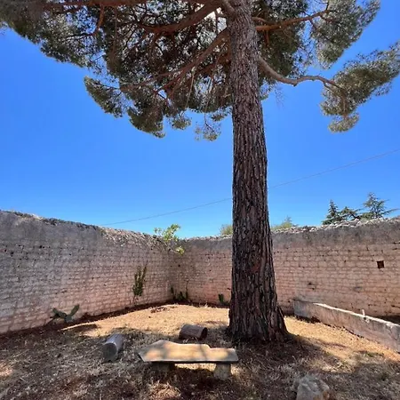 Apartmán Masseria Concorrano *