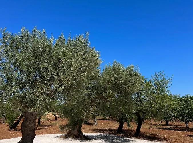 Masseria Concorrano شقة كاستيلانا غروتي